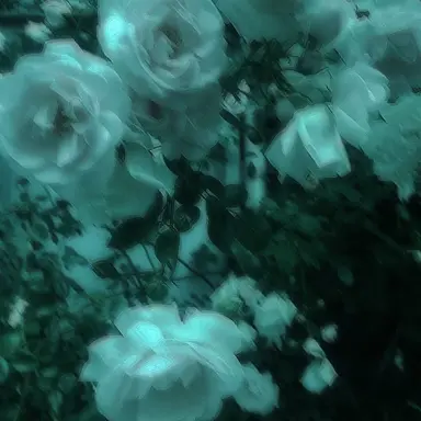 Profile image of 형준