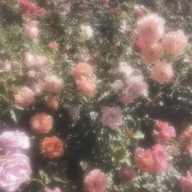 Profile image of 류