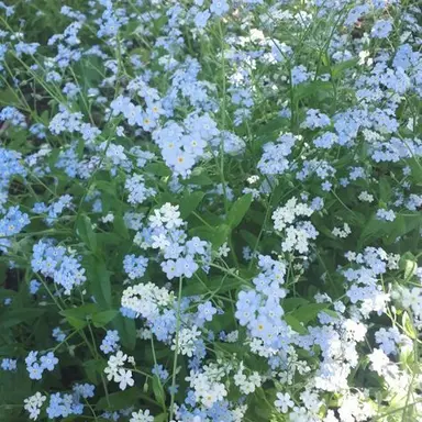 Profile image of 잭