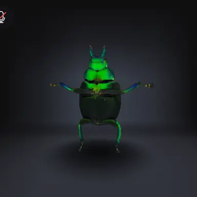 Profile image of 여우