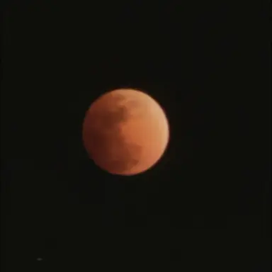 Profile image of 올데프 멤버 채험ㄱ