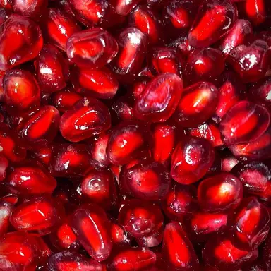 Profile image of 배윤정
