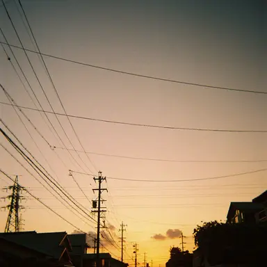 Profile image of 鈴木