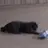 유튭 중학교