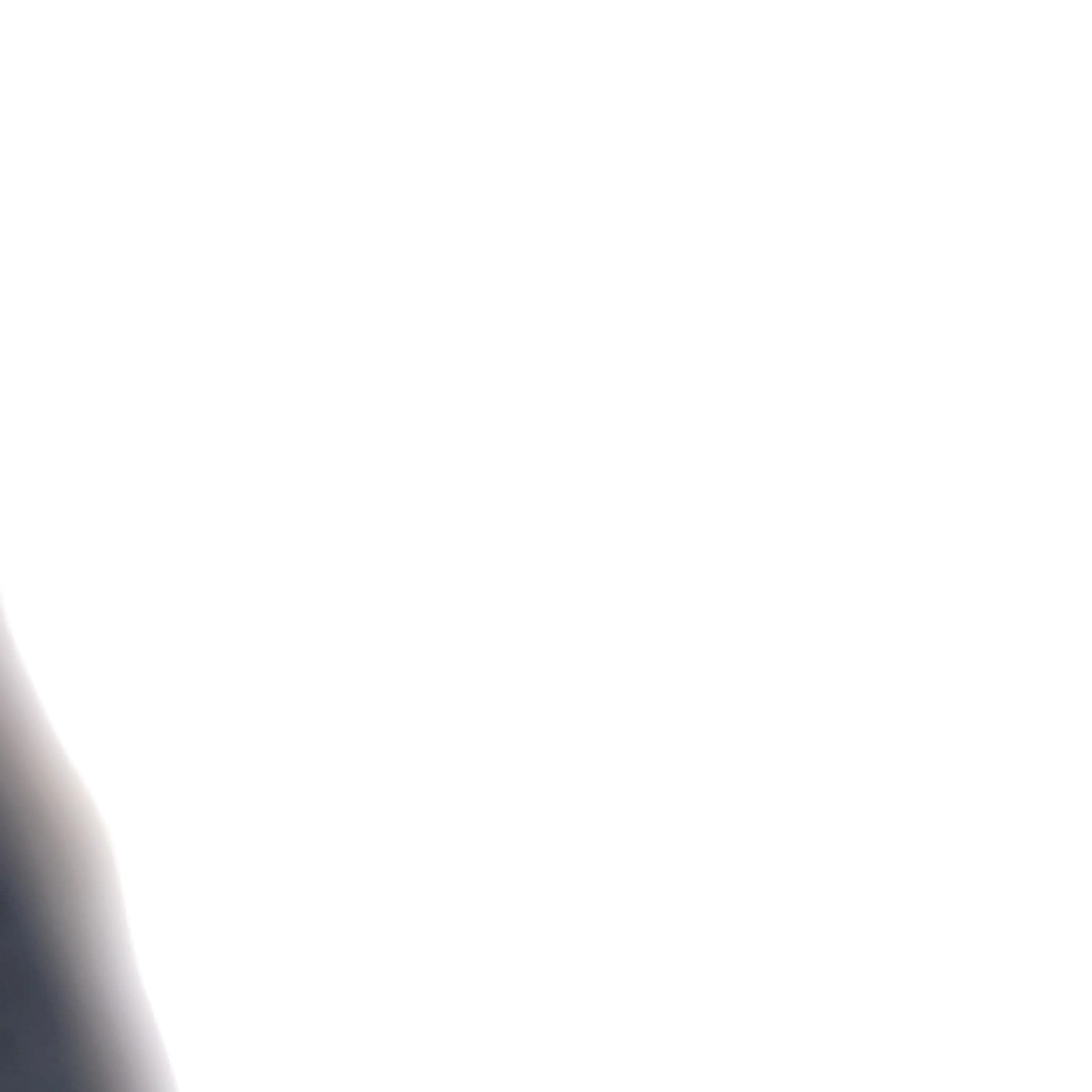 AbsurdMoth8321의 친오빠들