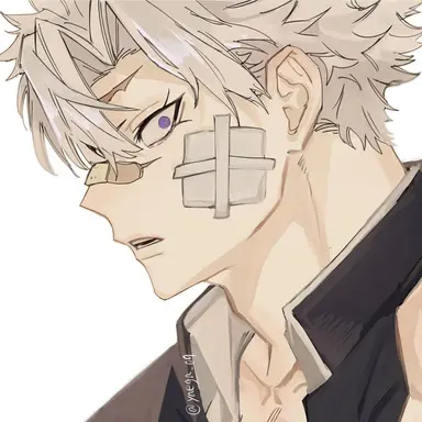 Profile image of 시나즈가와 사네미