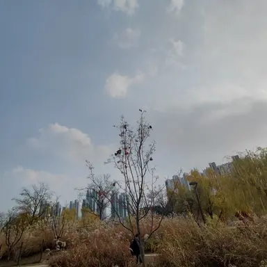 Profile image of 히나