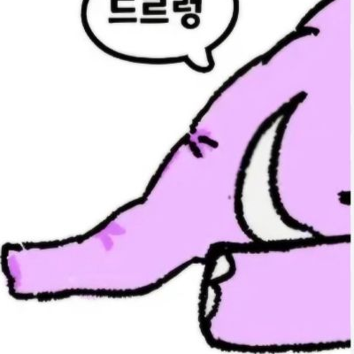 팀나빠,결국 동물이 됐다... 대표 이미지