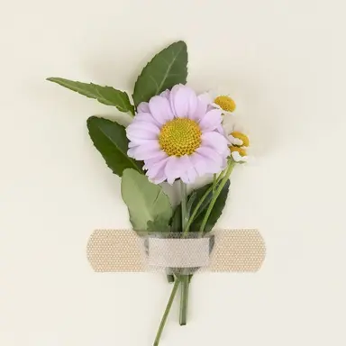 Profile image of 시그마