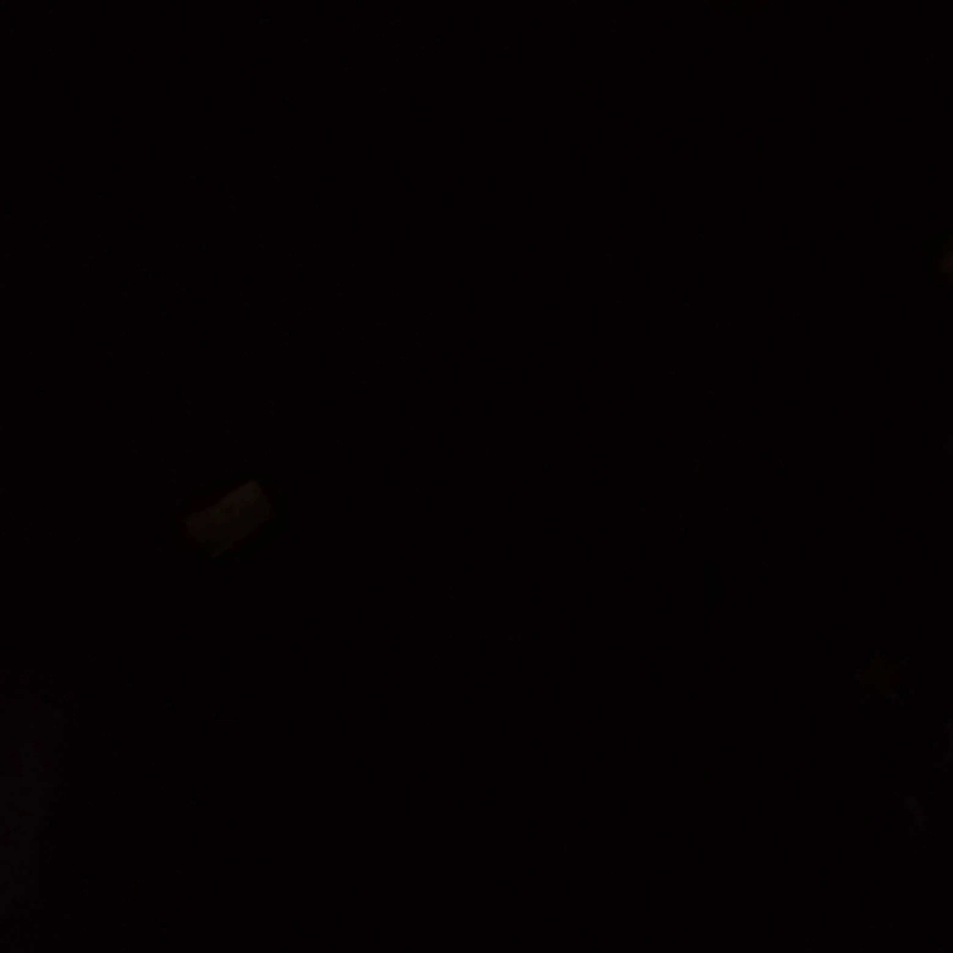 Sfr25의 マフィアさんのお気に入り