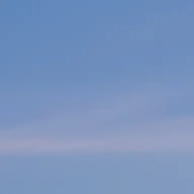 Profile image of 잠뜰