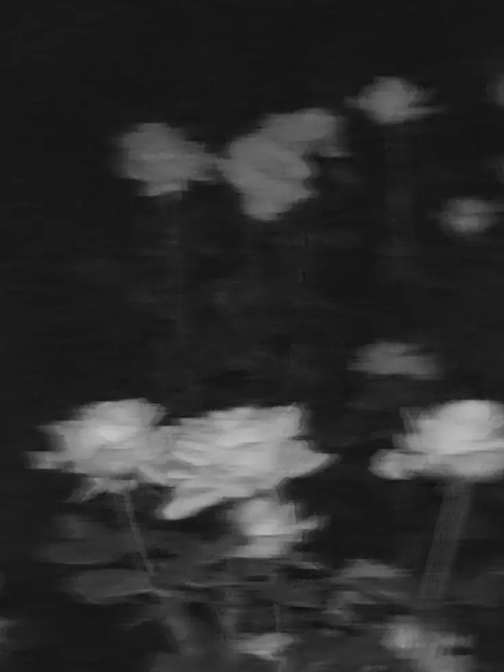 _sxn.7y의 크래비티 / 들른