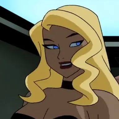 Profile image of Black Canary