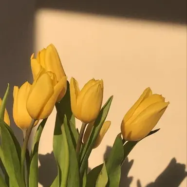 Profile image of 각별