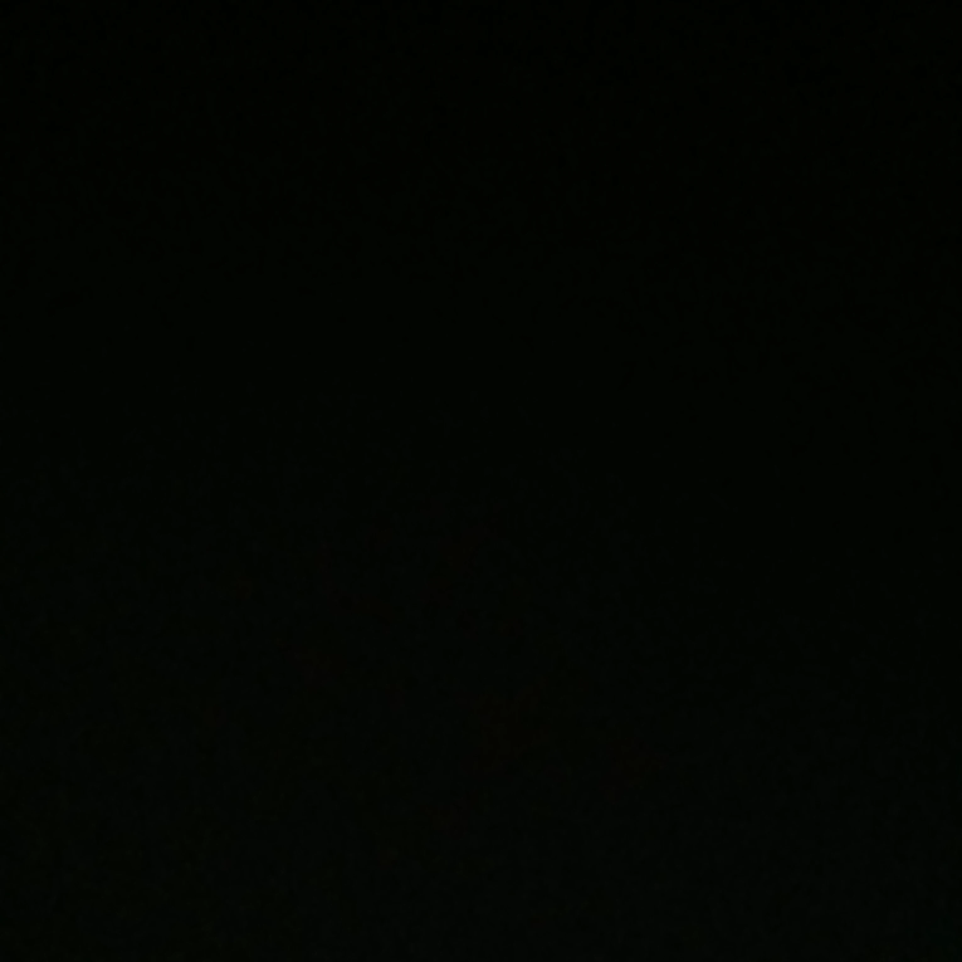 최범규