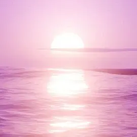 Profile image of 葵