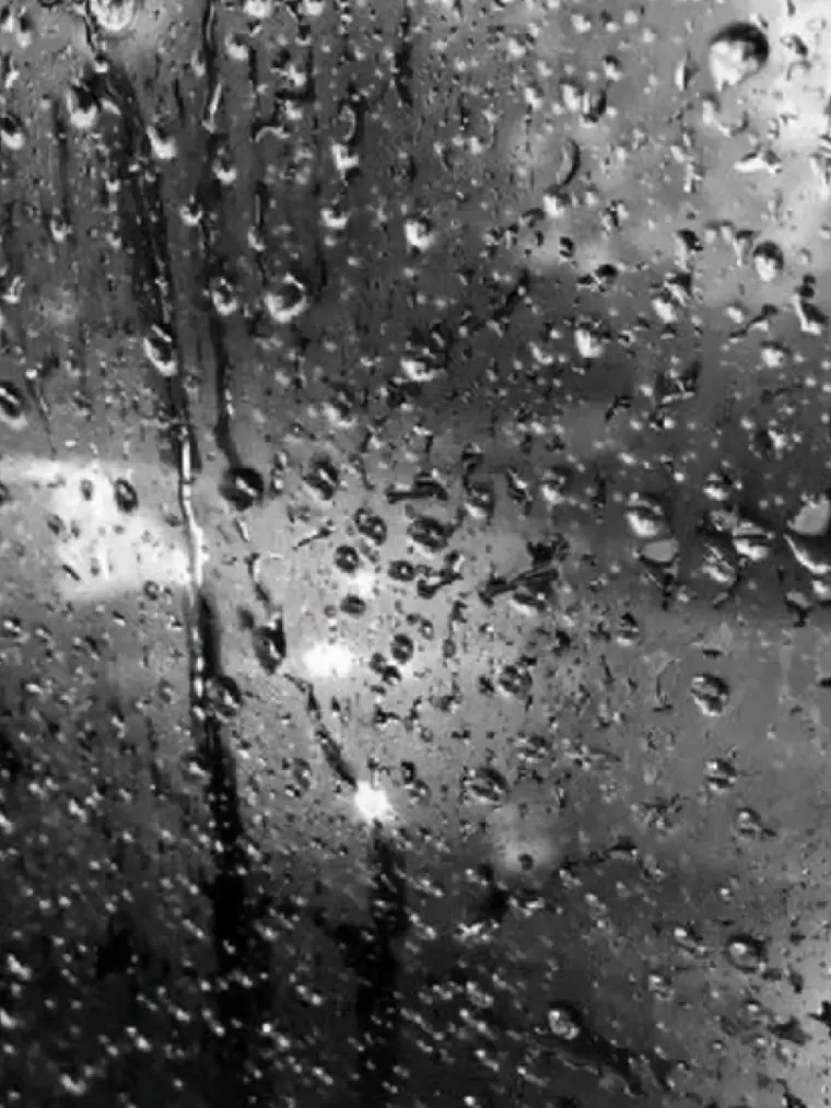 tansansan의 ☂︎   .   Fake smile