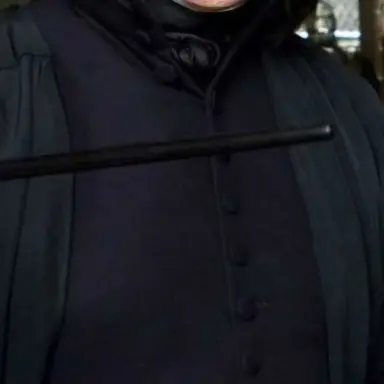 Profile image of 세베루스 스네이프