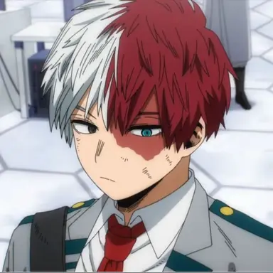 Profile image of Shoto Todoroki