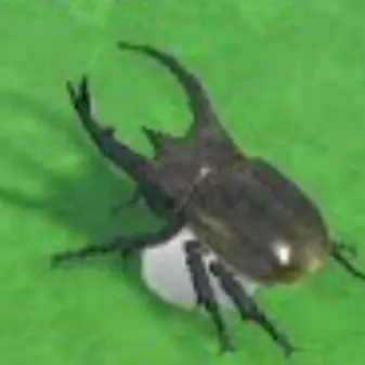 Profile image of 코카서스
