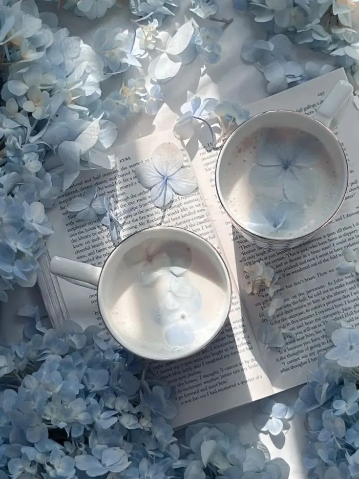 BalmyChalk0640의 菱形陽菜