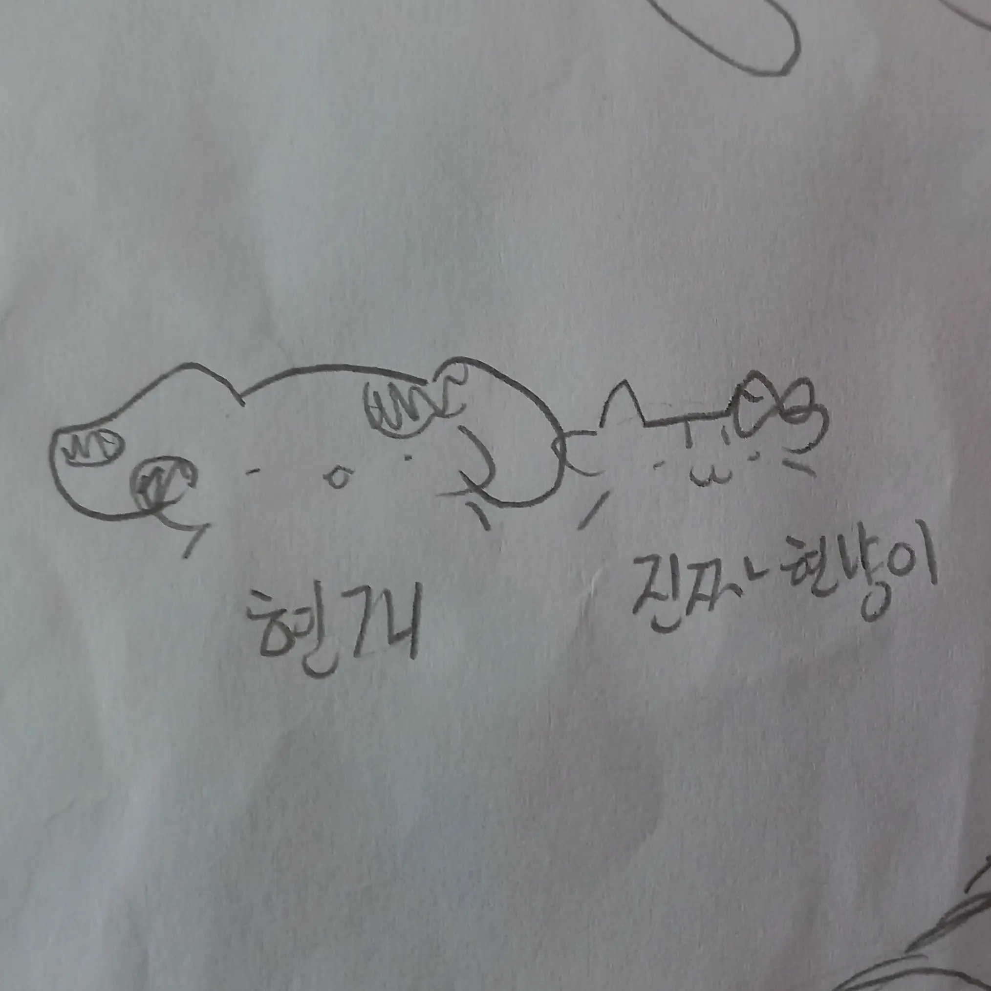 CreamArm8385의 현냥이 친구 현개랑 친해지기!