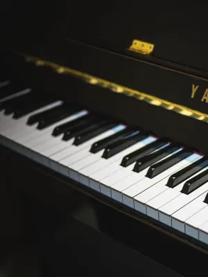 LovelyLargo4766의 貴方といると楽しいです。笑