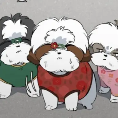 Profile image of 시츄할매들