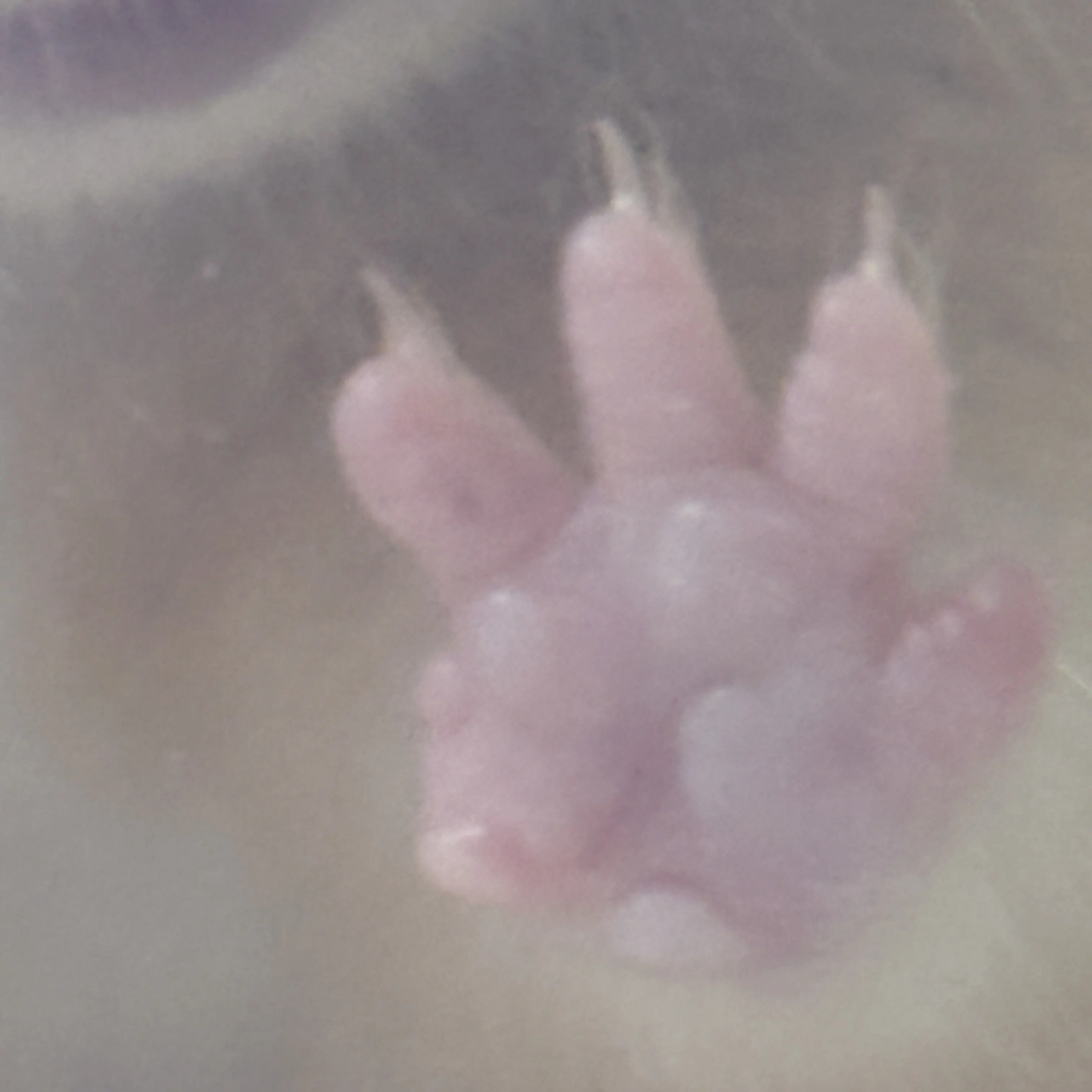 love0327의 틱톡 크루