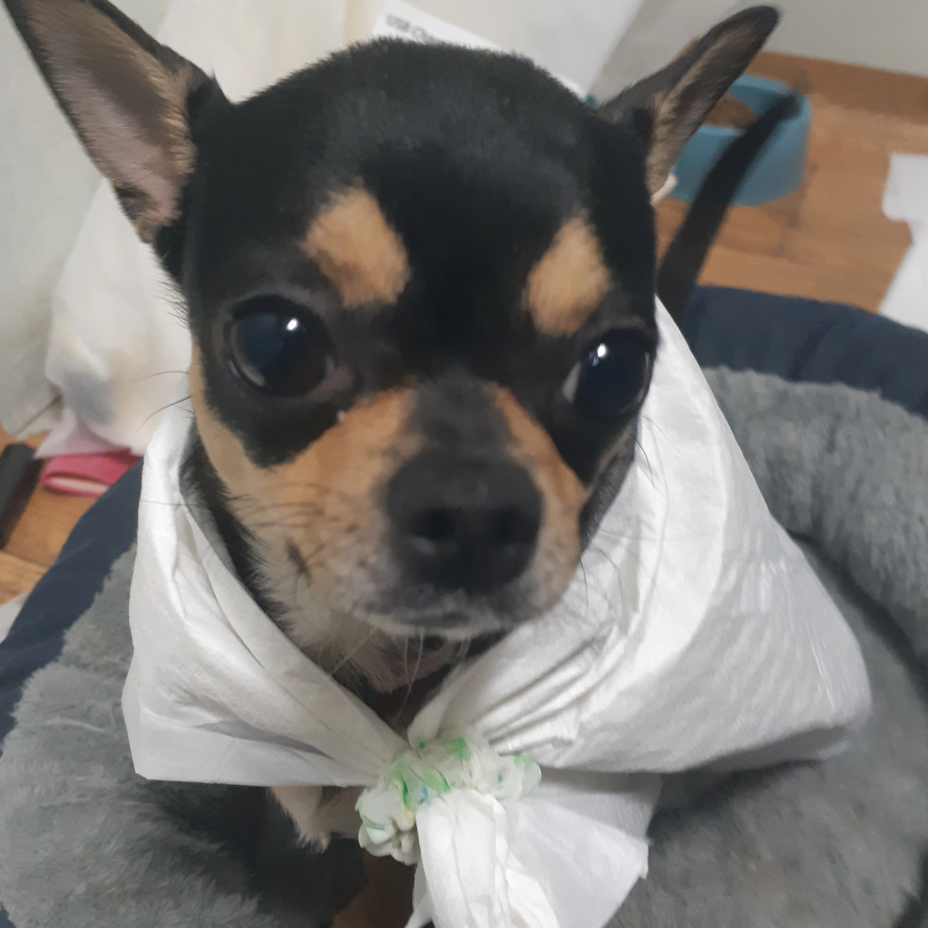 고고프렌즈 워크샵☆