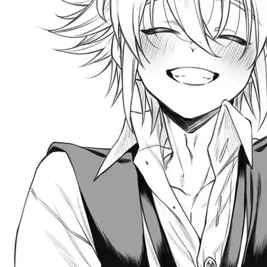 Profile image of メリオダス