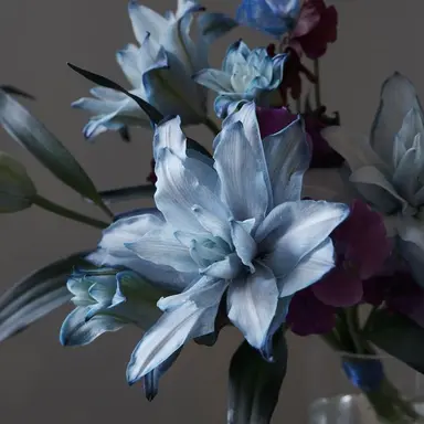 Profile image of 이열음