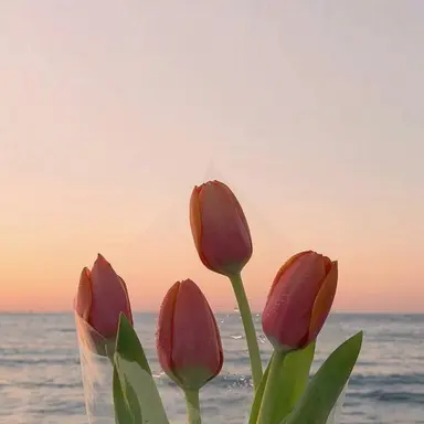 Profile image of 박민아