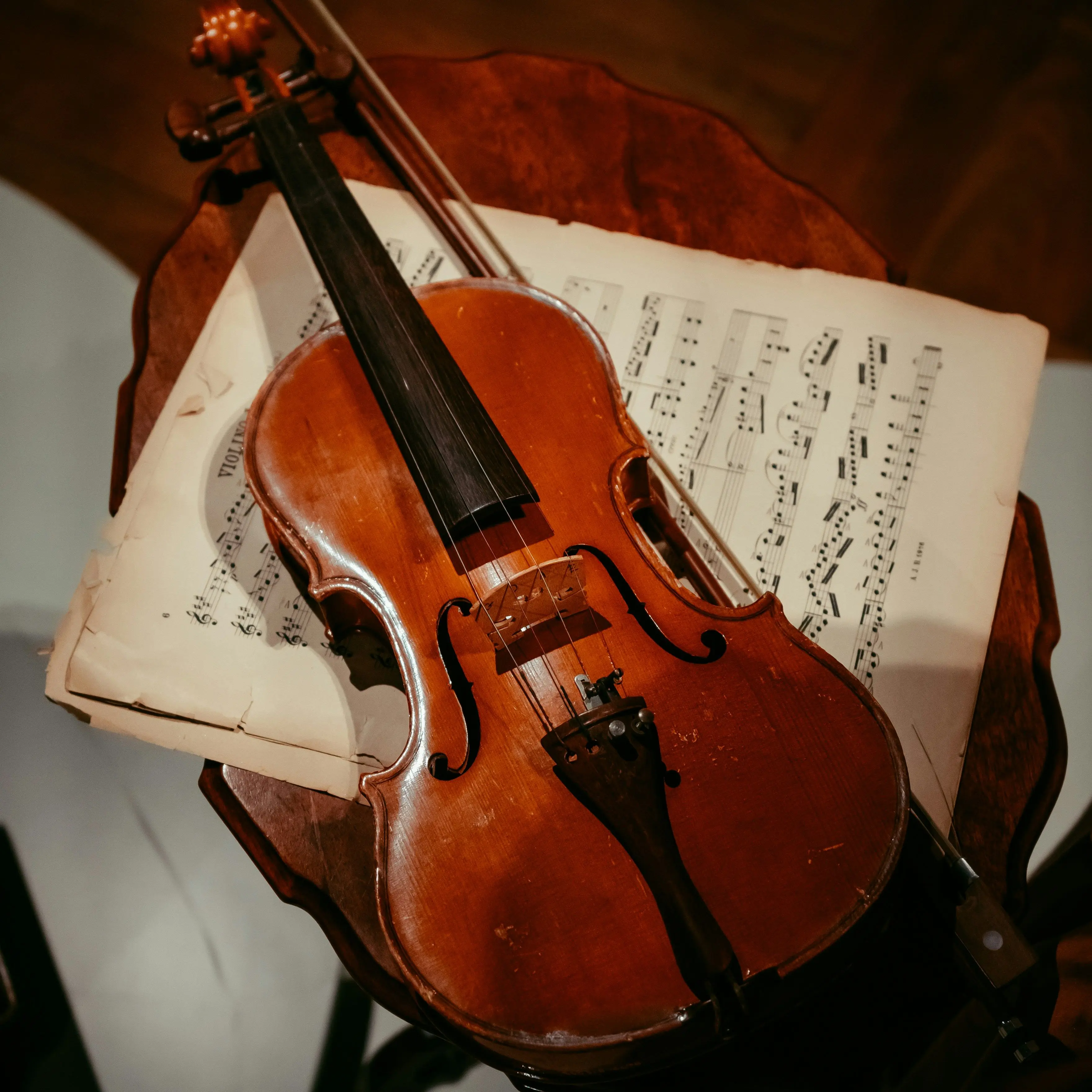 cruel_Hare4621의 Pitiful Violinist