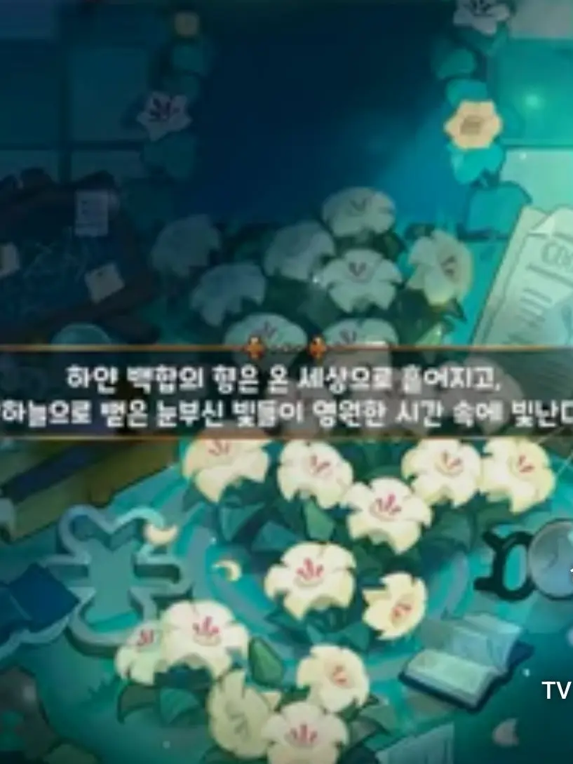 SlimFoot2476의 저평선 너머의(어둠마녀)