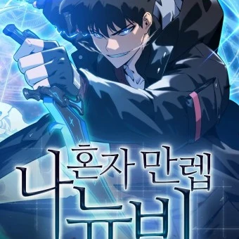 나 혼자 만렙 뉴비