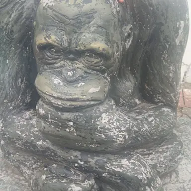 Profile image of 여우