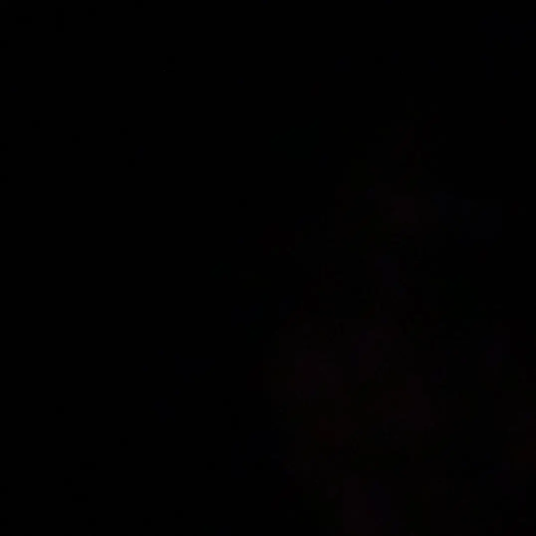 BrownLoris3561의 Five Nights With Her