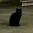 박종건
