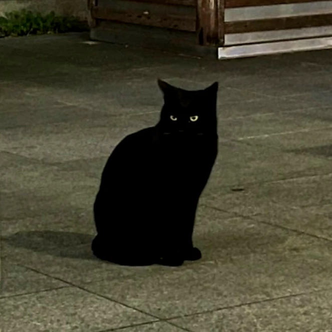 박종건