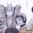 クインクス班