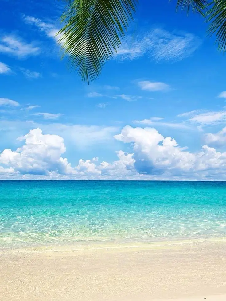 StingyTetra4751의 고고프렌즈+팀나빠 바다여행!