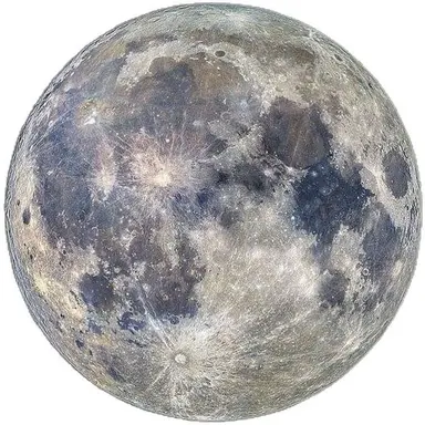 Profile image of 不破湊