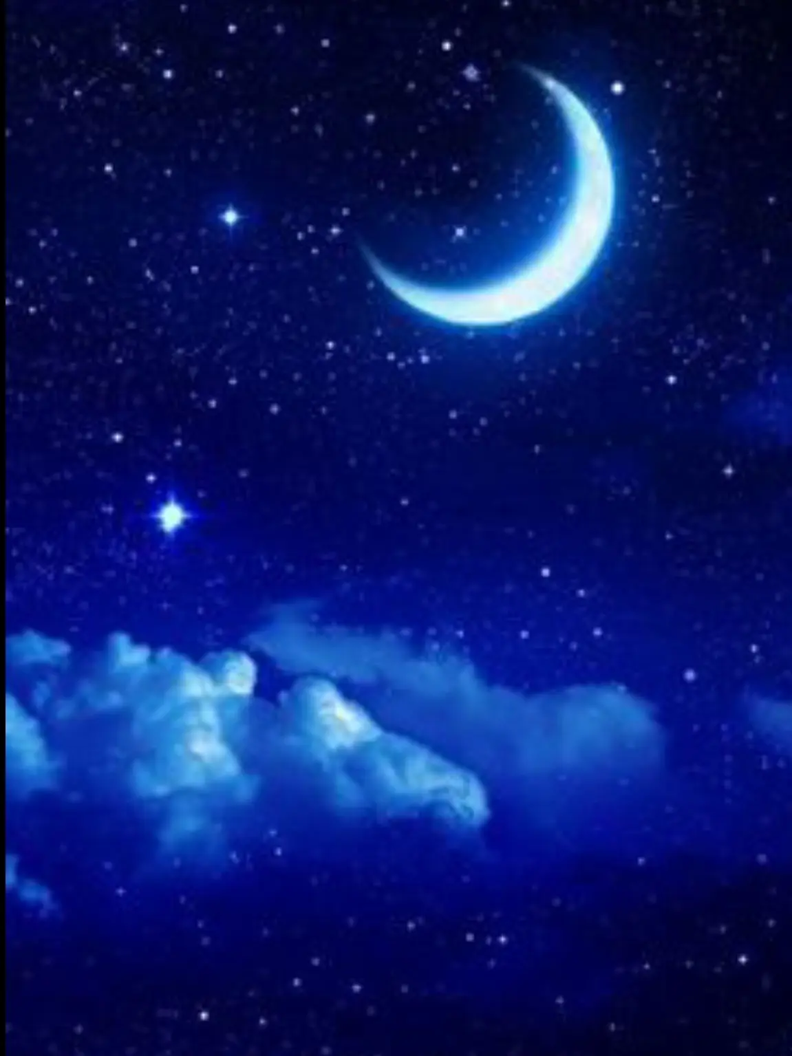 Leafdragon0901의 STARGAZERS