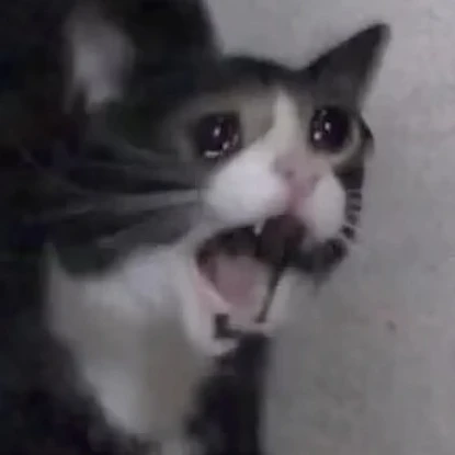 친구들
