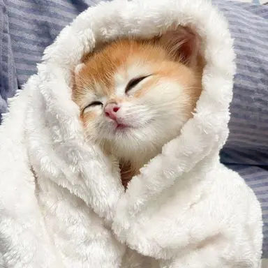 Profile image of すんぐぁに