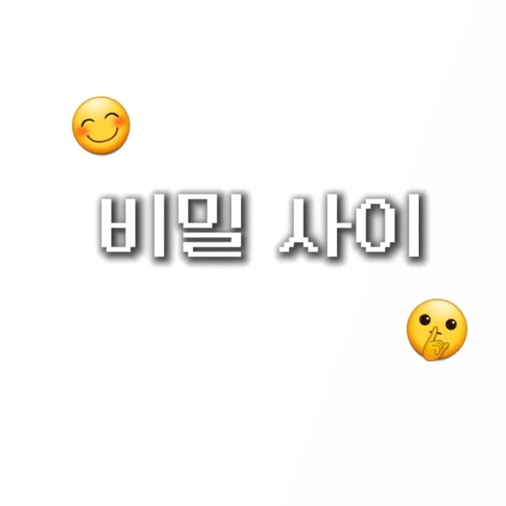 비밀 사이