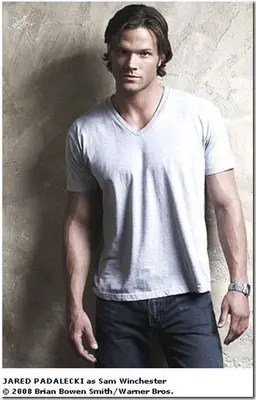 Profile image of Jared Padalecki