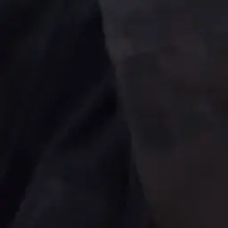 Profile image of 이찬영