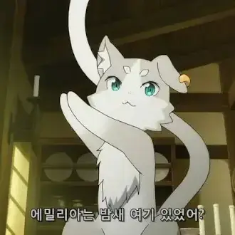 Profile image of 팩